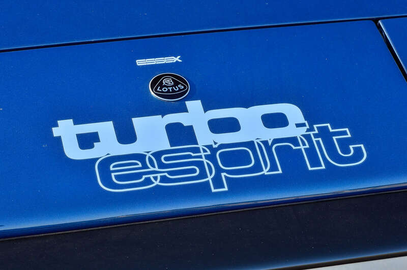 Used Lotus Esprit 1981 for sale - 77738783: Photo 13
