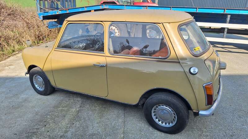 Used Morris Mini 1975 for sale - 77769853: Photo 3