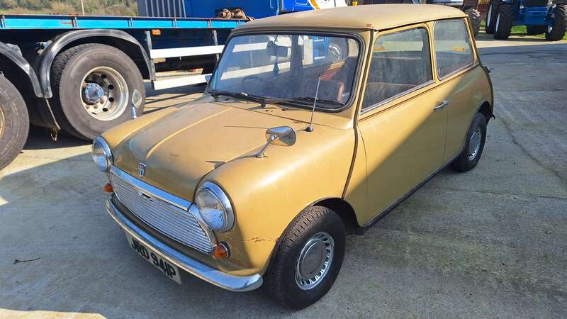 Used Morris Mini 1975 for sale - 77769853: Photo 7