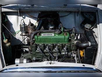 Used Austin Mini 1960 for sale - 79512595: Photo