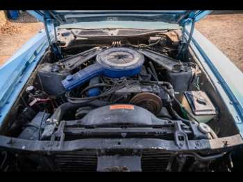 Used Ford Mustang 1973 for sale - 74535501: Photo