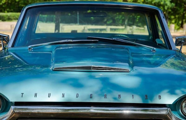 Used Ford Thunderbird 2021 for sale - 76251641: Photo 13