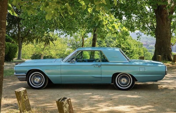 Used Ford Thunderbird 2021 for sale - 76251641: Photo 6