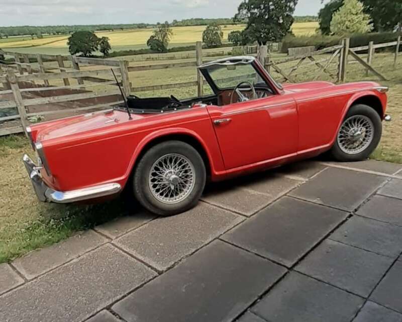 Used Triumph TR4 1965 for sale - 77599179: Photo 6
