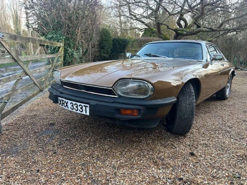 Used Jaguar XJS 1979 for sale - 77769842: Photo 10