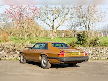 Used Jaguar XJS 1979 for sale - 77769842: Photo