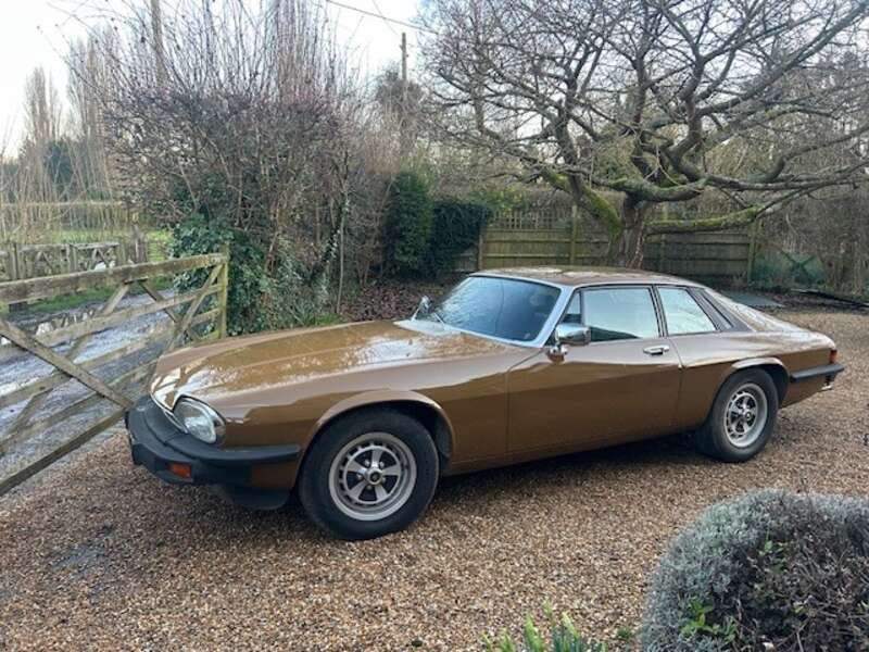 Used Jaguar XJS 1979 for sale - 77769842: Photo 6