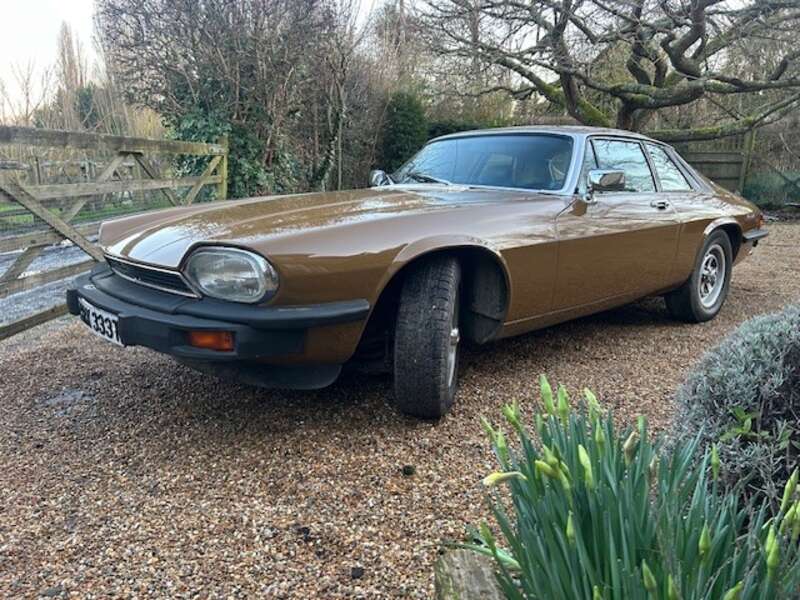 Used Jaguar XJS 1979 for sale - 77769842: Photo 8
