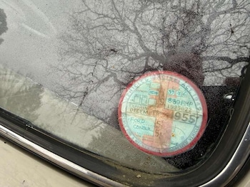 Used Ford Consul 1955 for sale - 77479604: Photo