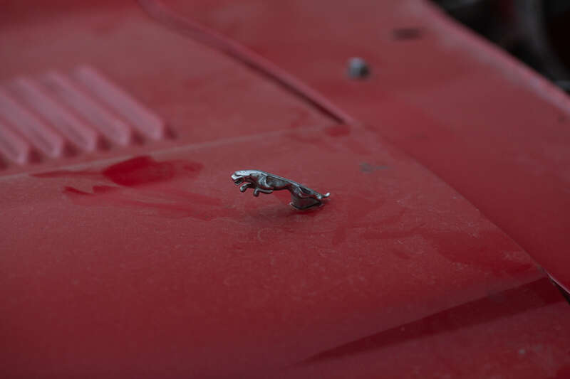 Used Jaguar E-Type 1979 for sale - 76296578: Photo 17