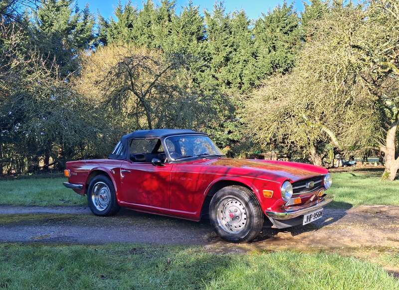 Used Triumph TR6 for sale - 77672064: Photo 14