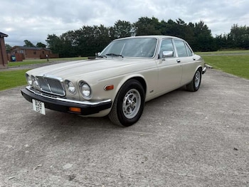 Used Jaguar XJ 1985 for sale - 77724333: Photo