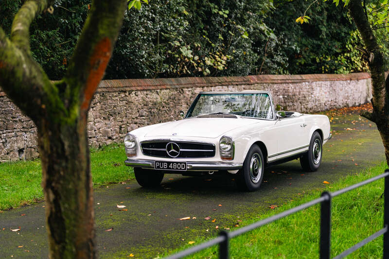 Used Mercedes-Benz 230 SL 2021 for sale - 76350311: Photo 13