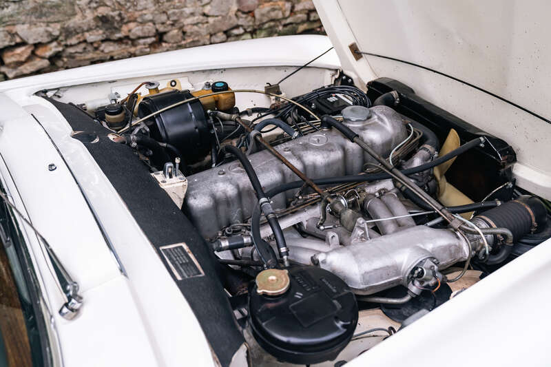 Used Mercedes-Benz 230 SL 2021 for sale - 76350311: Photo 3