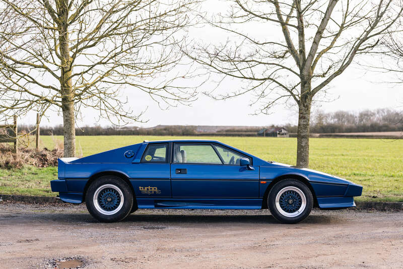 Used Lotus Esprit for sale - 77696891: Photo 5