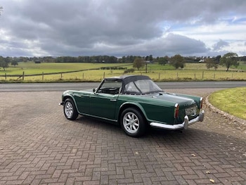 Used Triumph TR4 2000 for sale - 75416191: Photo