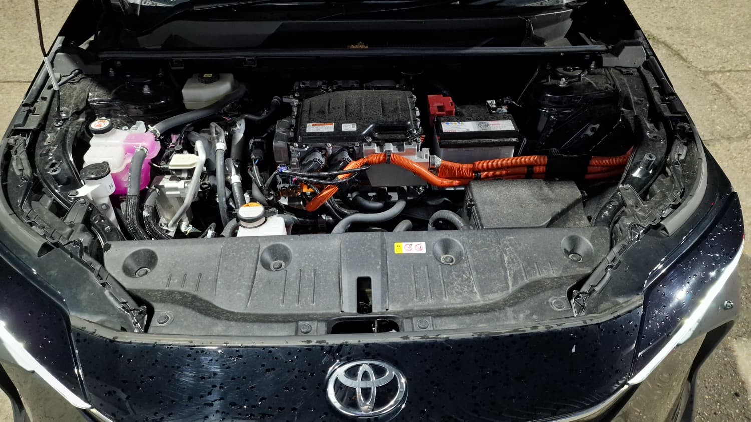 Used Toyota Other 2024 for sale - 77701109: Photo 16