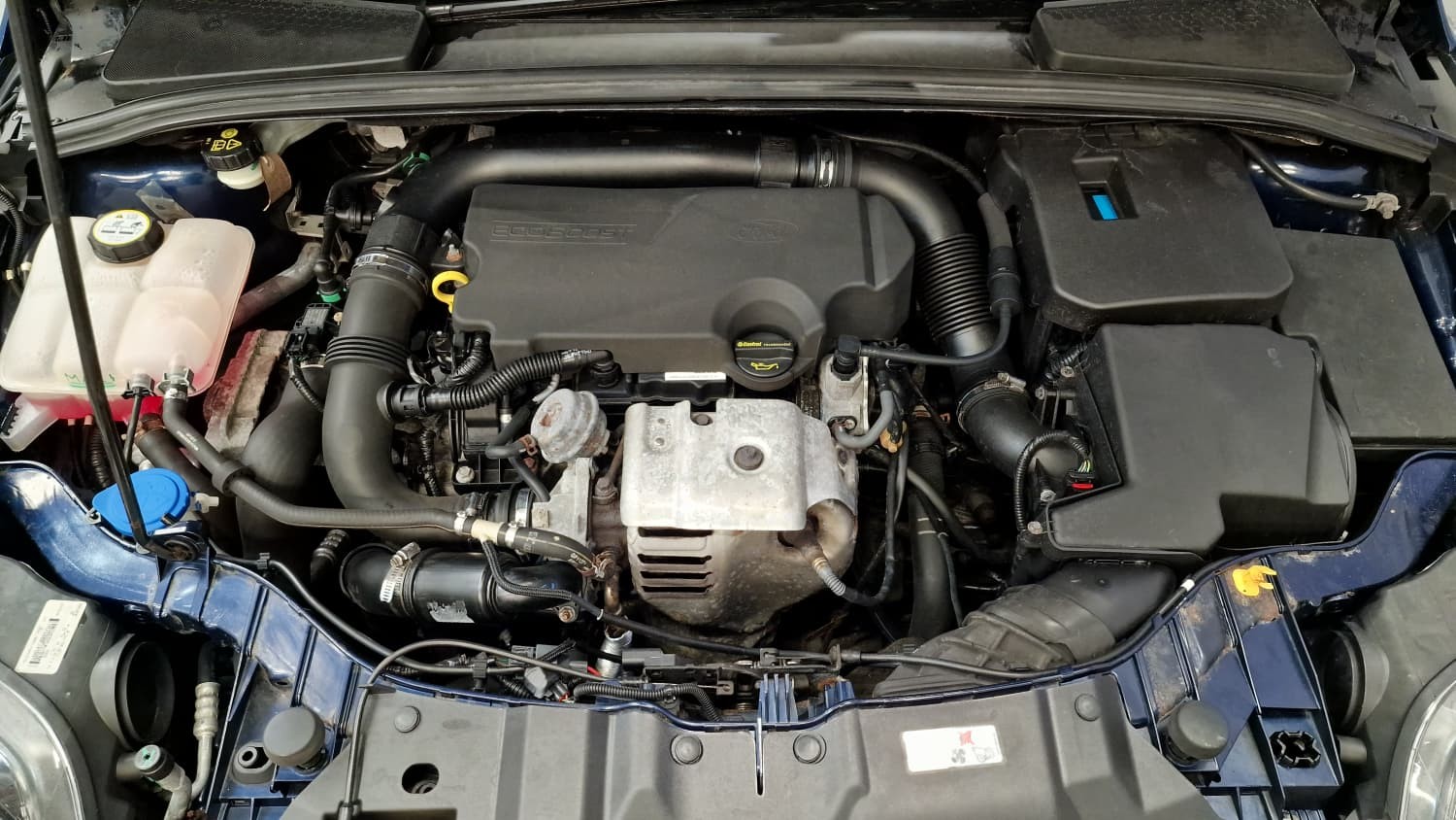 Used Ford Focus 2012 for sale - 76517835: Photo 17