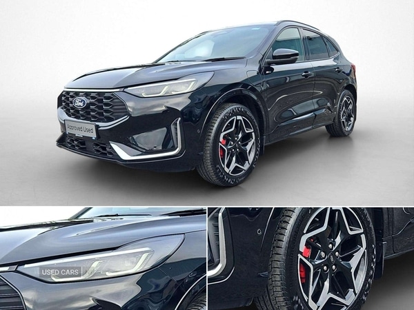 Used Ford Kuga 2025 for sale - 76419362: Photo 16