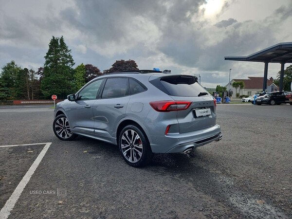 Used Ford Kuga 2025 for sale - 76002914: Photo 37