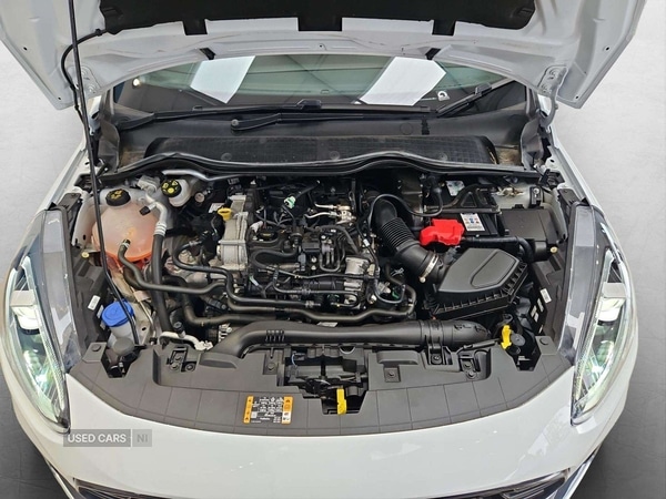 Used Ford Fiesta 2022 for sale - 76743728: Photo 29