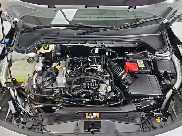 Used Ford Focus 2025 for sale - 76349962: Photo 29