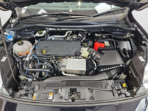 Used Ford Kuga 2022 for sale - 76179964: Photo 29