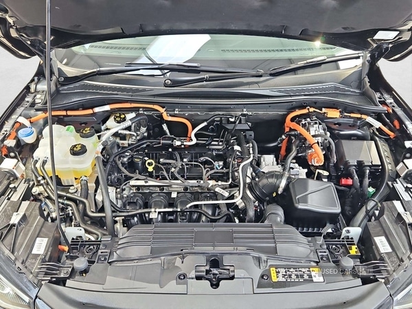 Used Ford Kuga 2025 for sale - 77705835: Photo 29