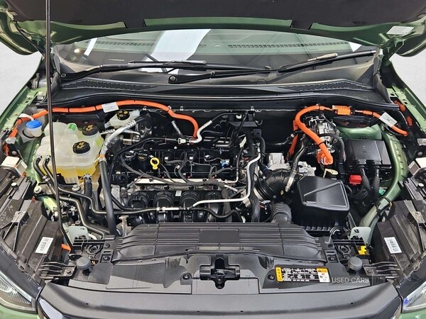 Used Ford Kuga 2025 for sale - 77684591: Photo 29