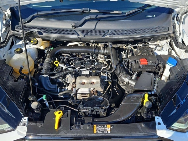 Used Ford Ecosport 2023 for sale - 77794561: Photo 35