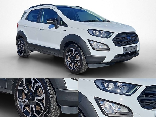 Used Ford Ecosport 2023 for sale - 77794561: Photo 9