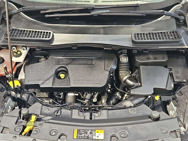 Used Ford Kuga 2019 for sale - 77021522: Photo 31