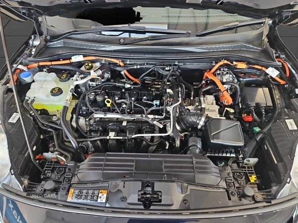 Used Ford Kuga 2024 for sale - 76419327: Photo 29