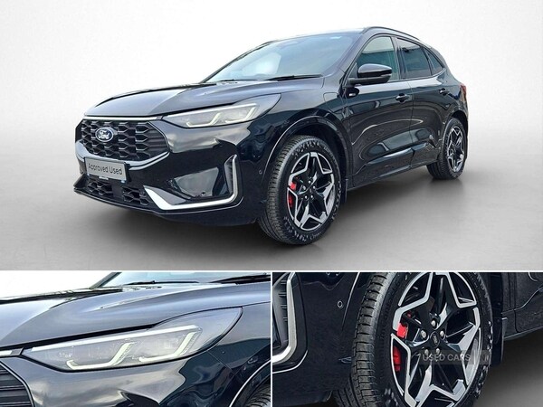Used Ford Kuga 2025 for sale - 76013940: Photo 16