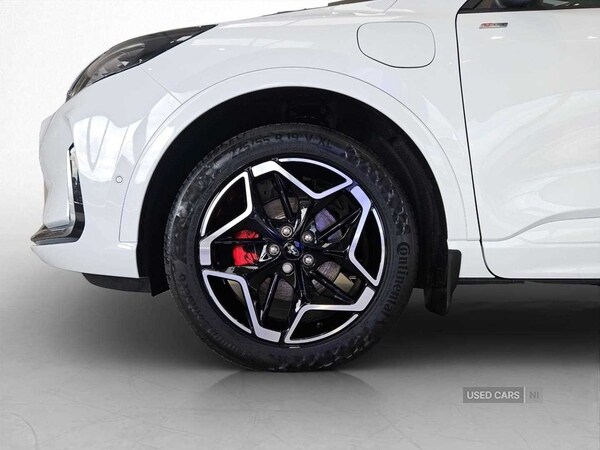 Used Ford Kuga 2024 for sale - 76474042: Photo 15