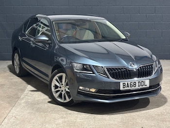 Used Skoda Octavia 2019 for sale - 77336081: Photo