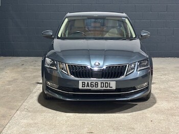 Used Skoda Octavia 2019 for sale - 77336081: Photo