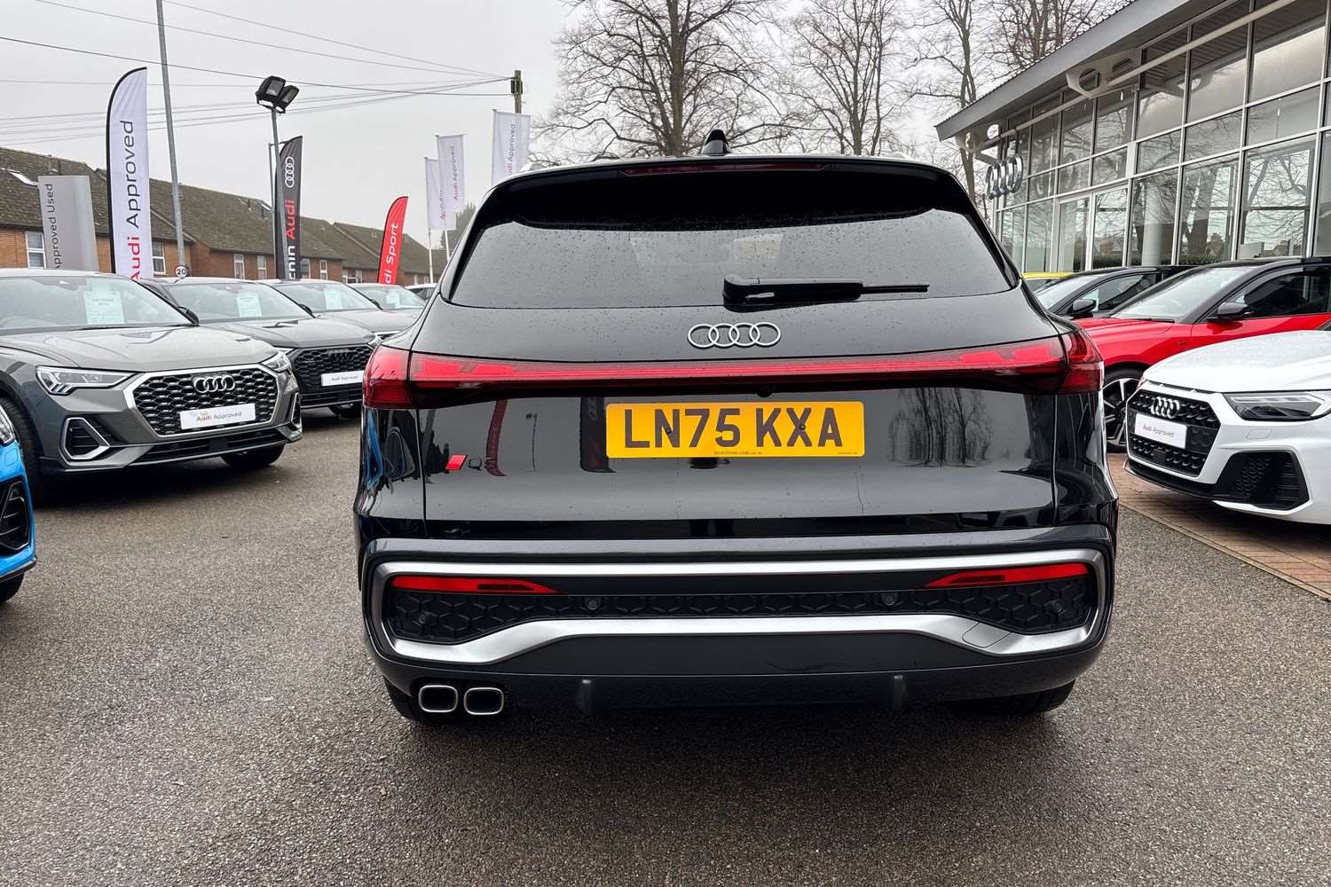 Used Audi Q5 2025 for sale - 77147256: Photo 32