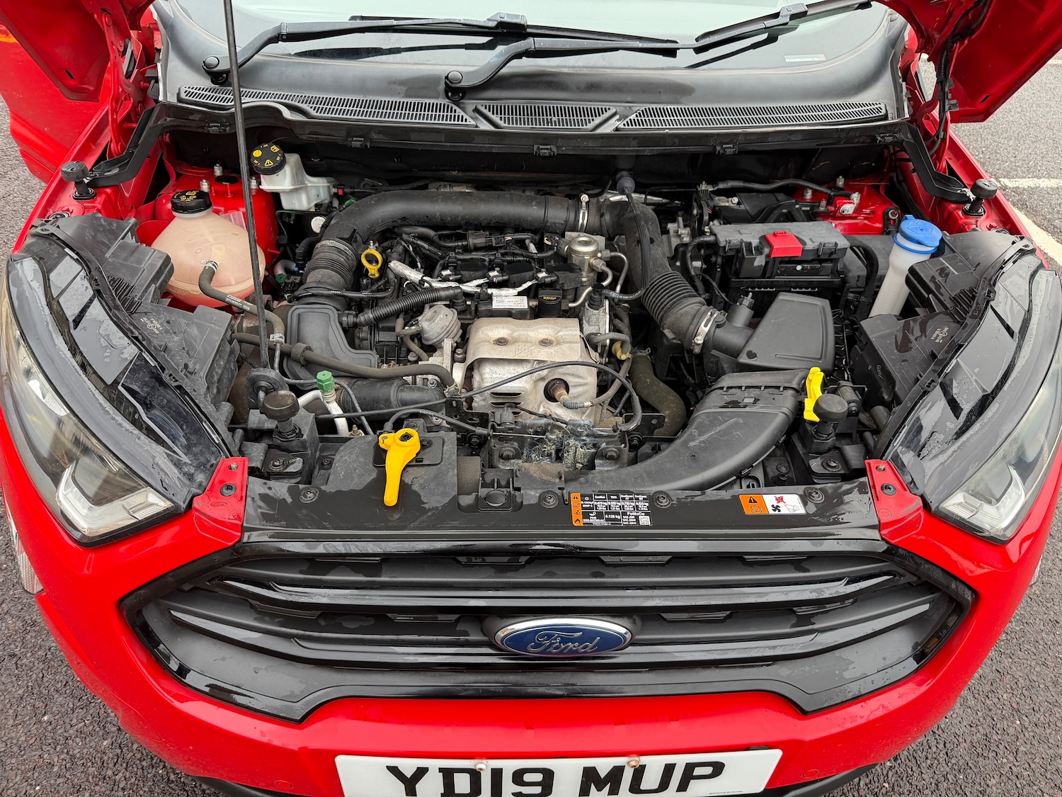 Used Ford Ecosport 2019 for sale - 77231524: Photo 27