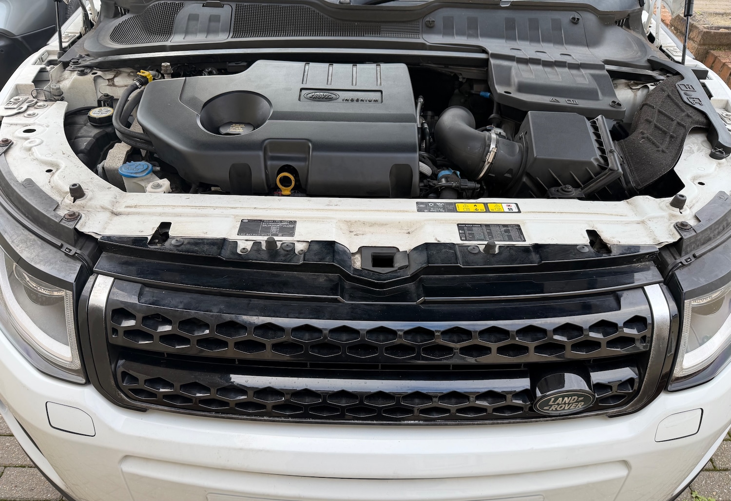 Used Land Rover Range Rover Evoque 2017 for sale - 77634739: Photo 13