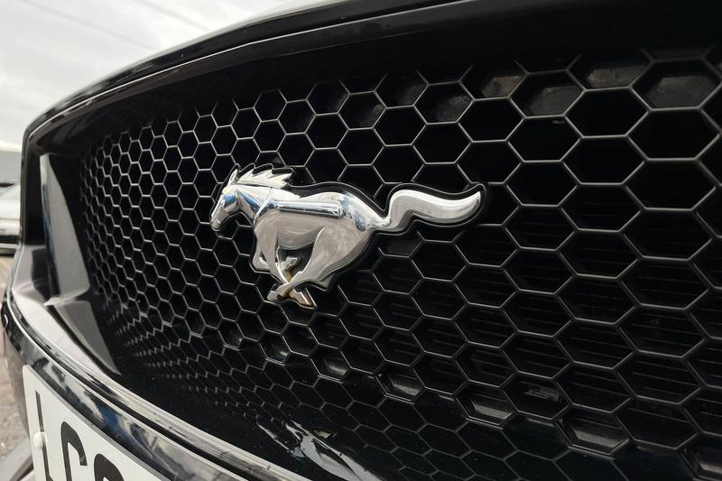 Used Ford Mustang 2019 for sale - 76819273: Photo 40