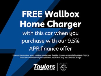 Used Peugeot 5008 2024 for sale - 77413211: Photo