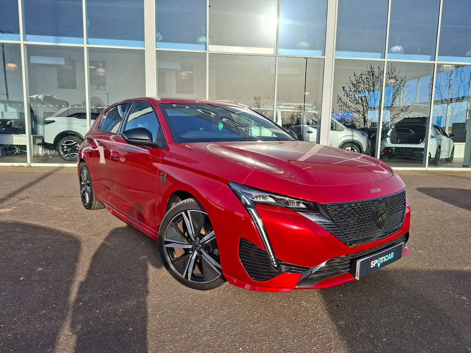 Used Peugeot 308 2023 for sale - 77670581: Photo 1