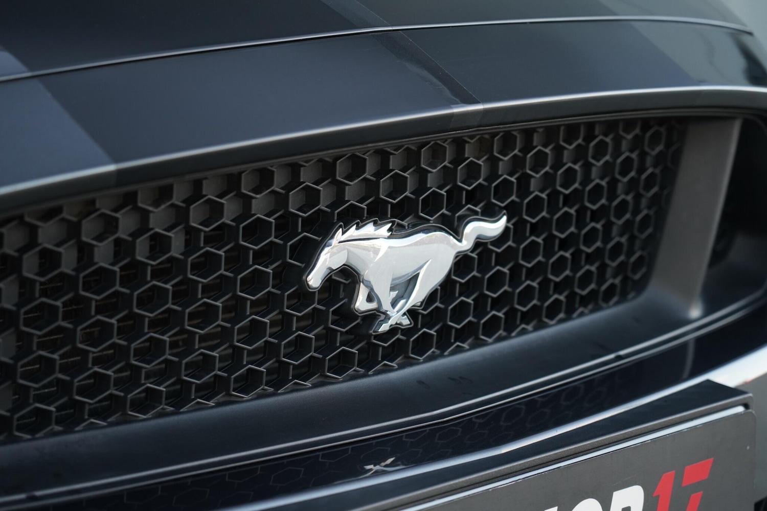 Used Ford Mustang 2016 for sale - 77130847: Photo 30