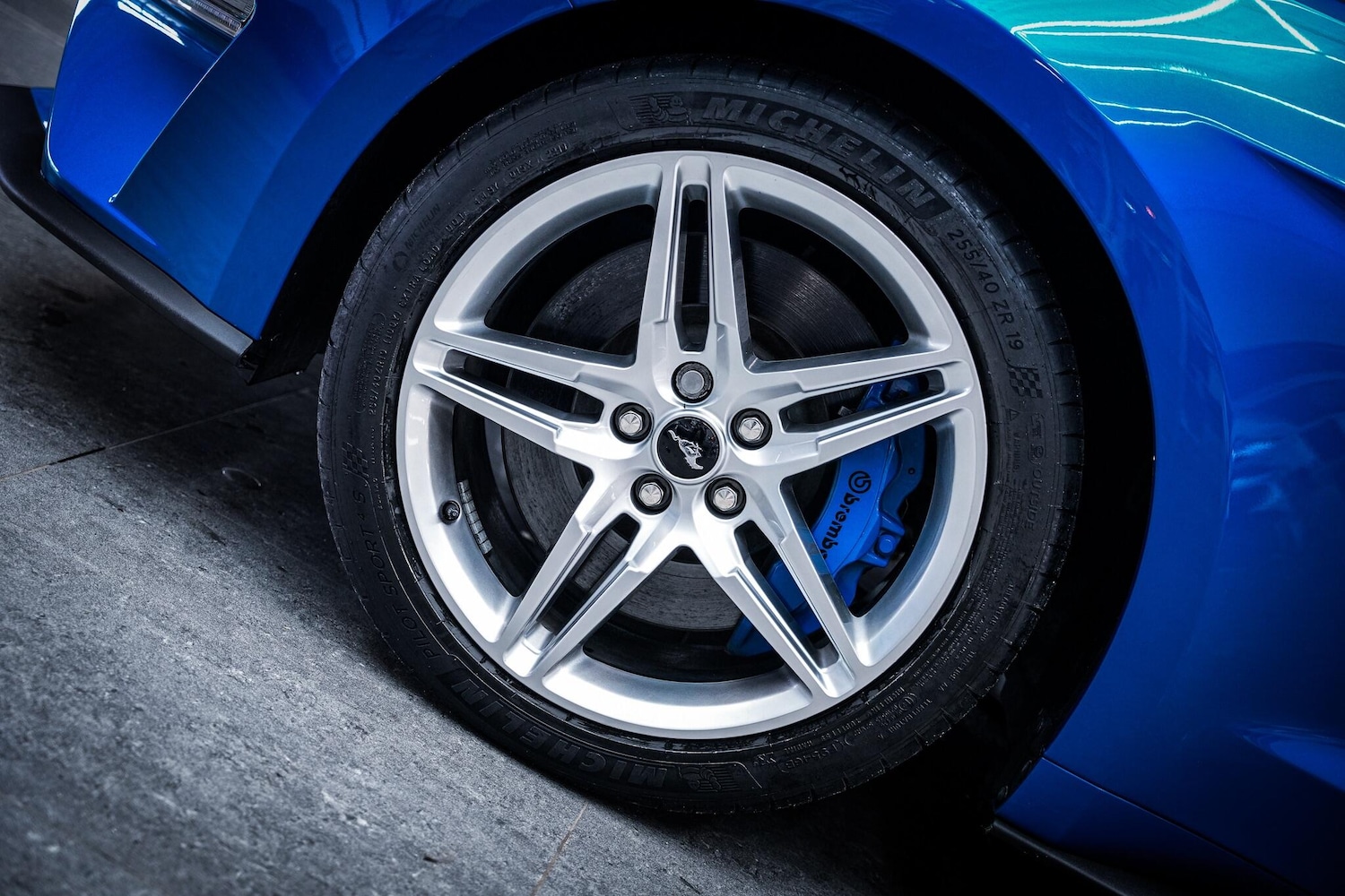 Used Ford Mustang 2019 for sale - 78020285: Photo 29