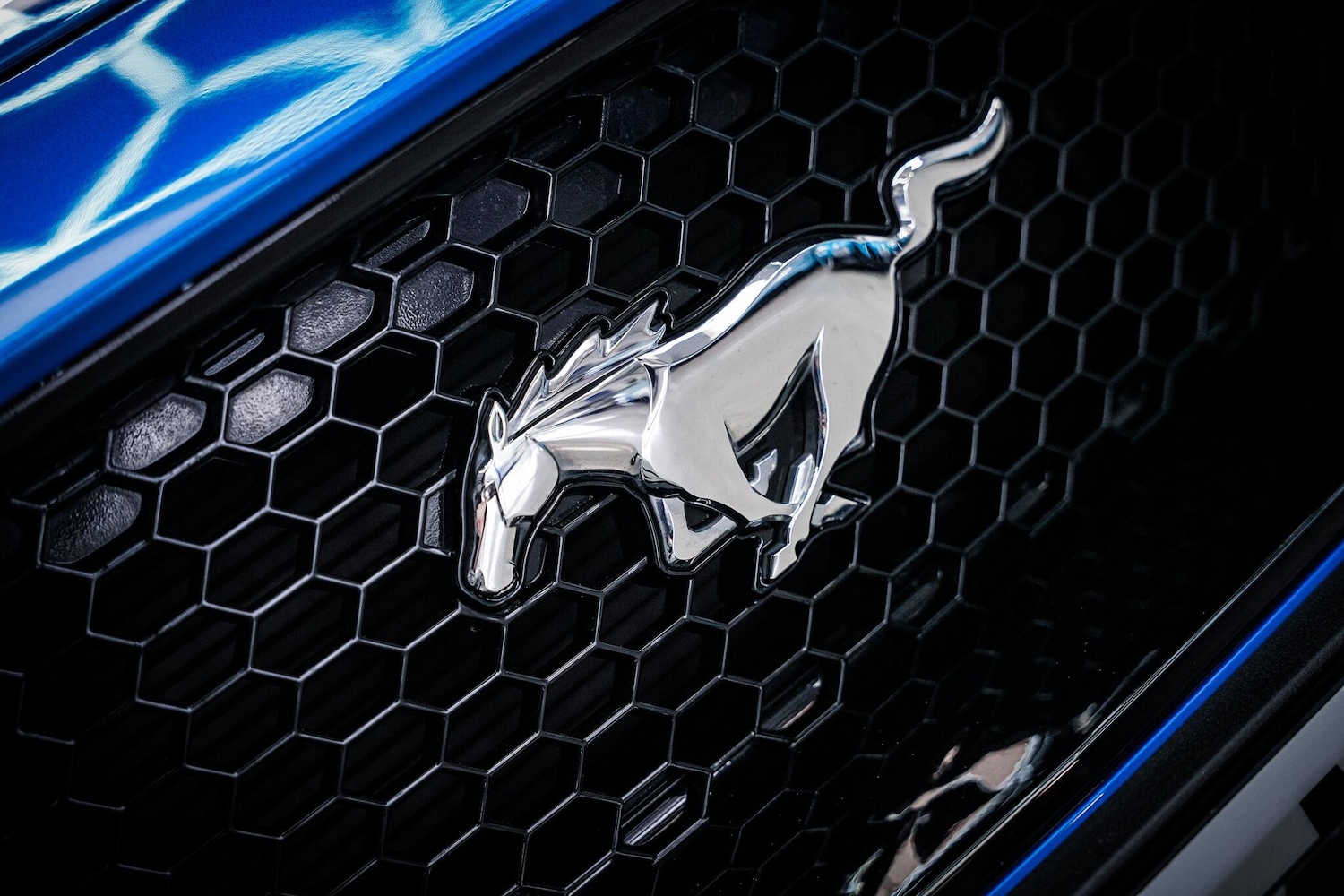 Used Ford Mustang 2019 for sale - 78020285: Photo 32