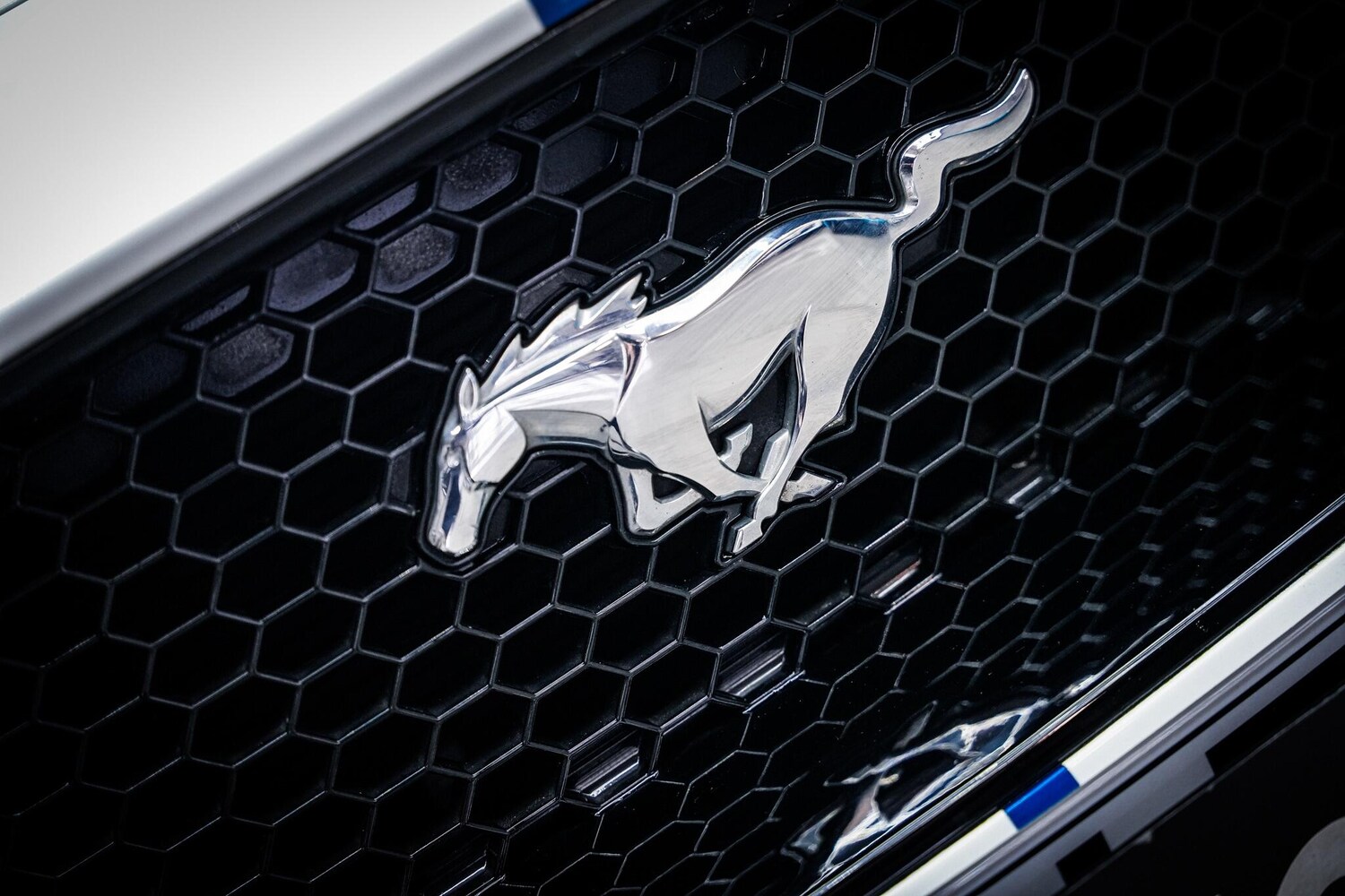 Used Ford Mustang 2021 for sale - 77924960: Photo 31