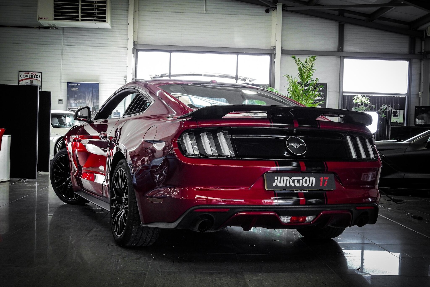 Used Ford Mustang 2018 for sale - 76658272: Photo 4