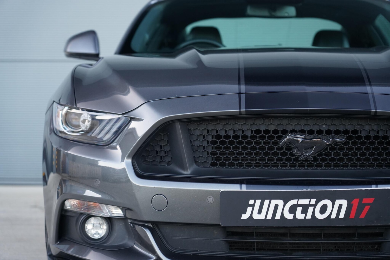 Used Ford Mustang for sale - 77049700: Photo 22