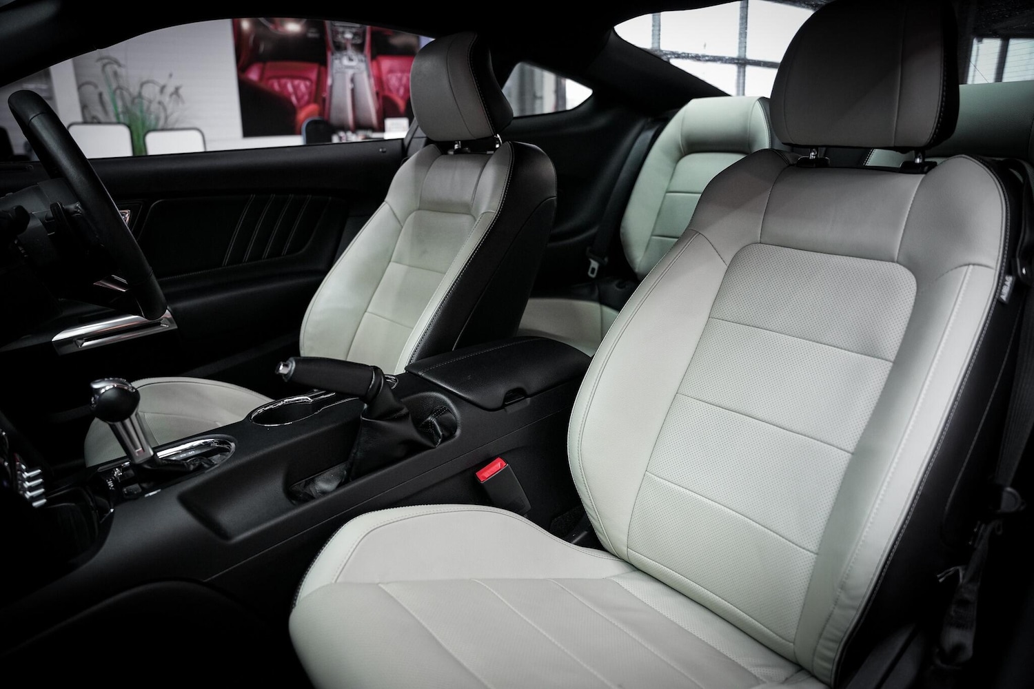 Used Ford Mustang 2018 for sale - 77599062: Photo 22